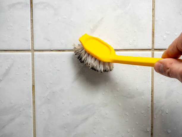Best Attic Mold Removal  in Ardmore, PA