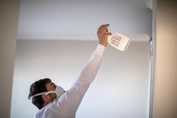 Best Commercial Mold Removal  in Ardmore, PA