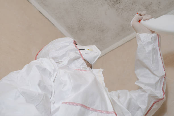 Best Mold Remediation Experts  in Ardmore, PA